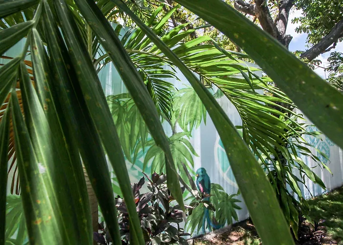 Eos Wellness By Amazonia Tulum